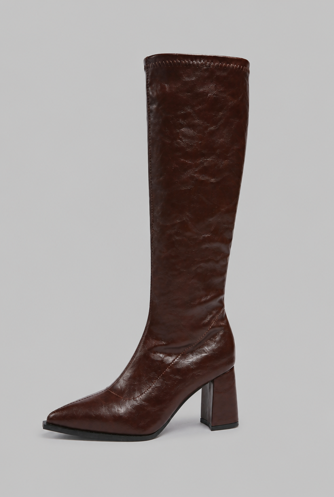 Pointed Toe Knee-High Boots